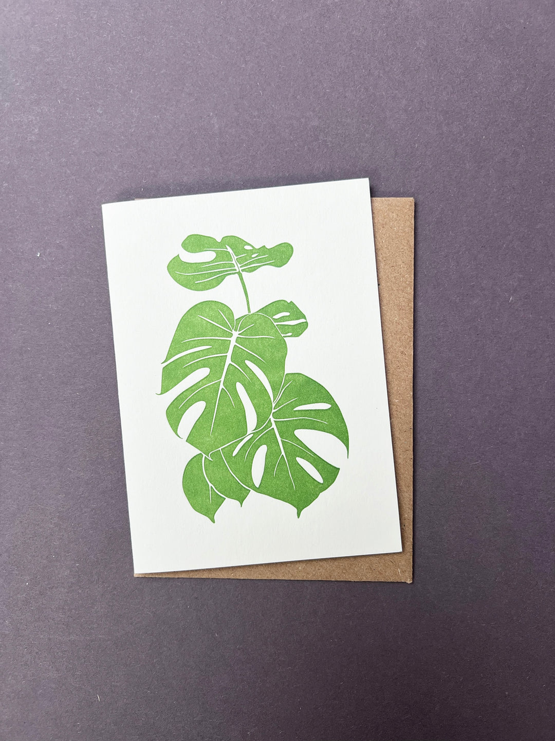 Monstera