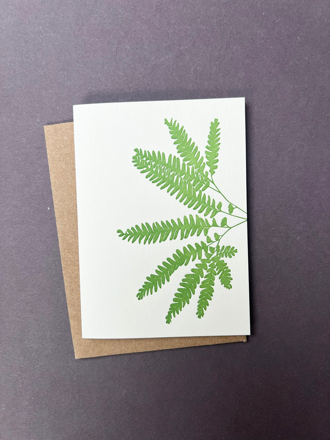 Maidenfair Fern