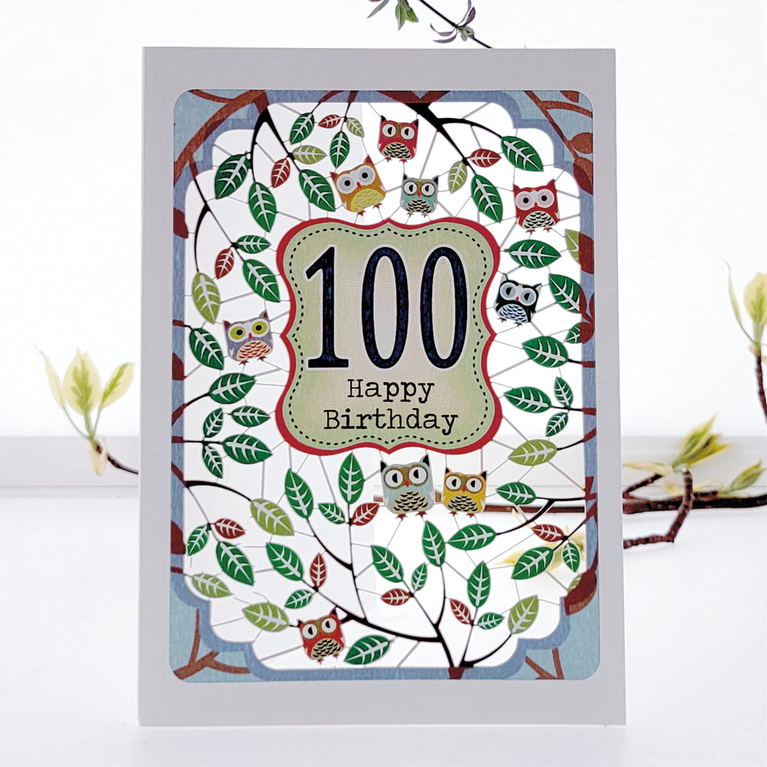 Age 100