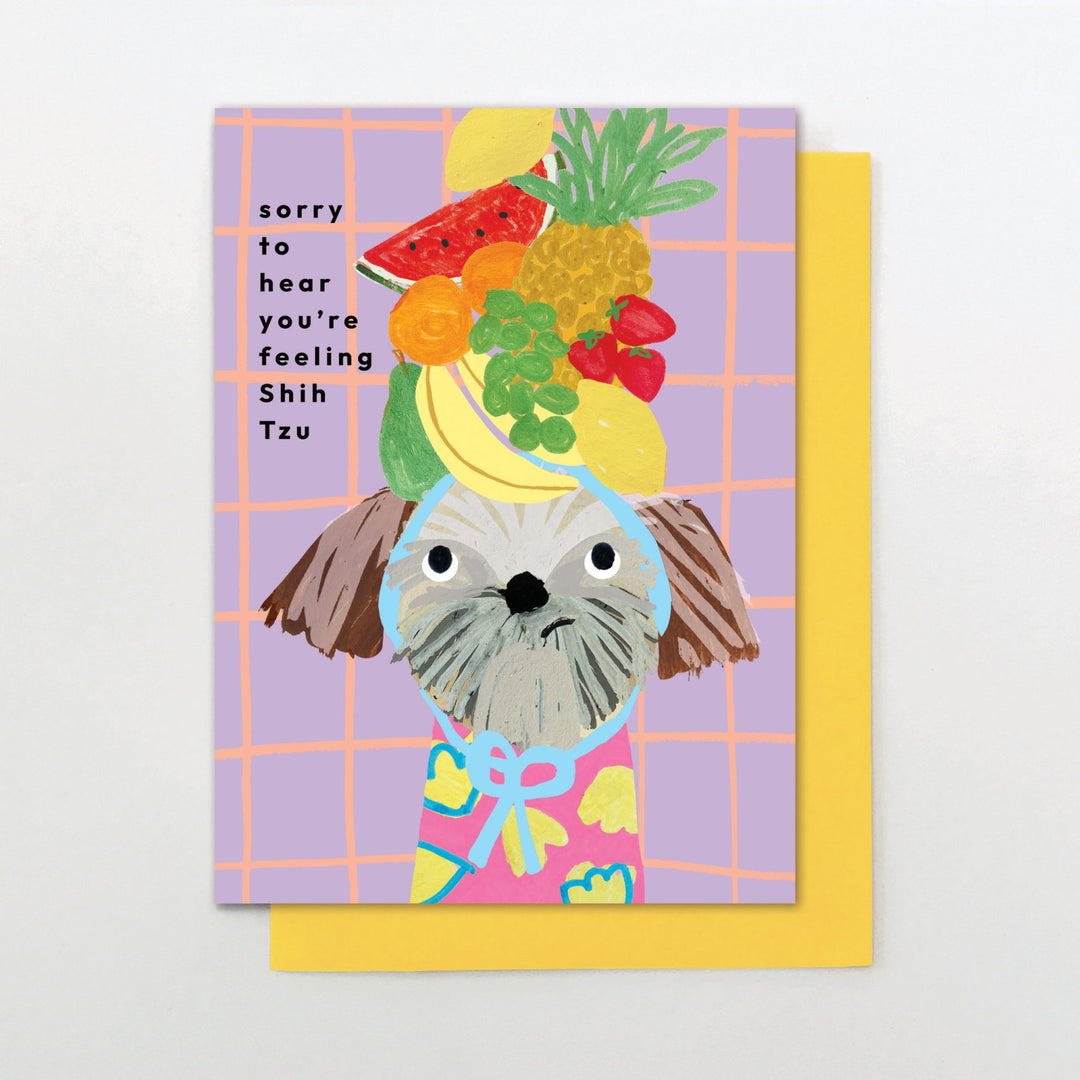 feeling shih tzu