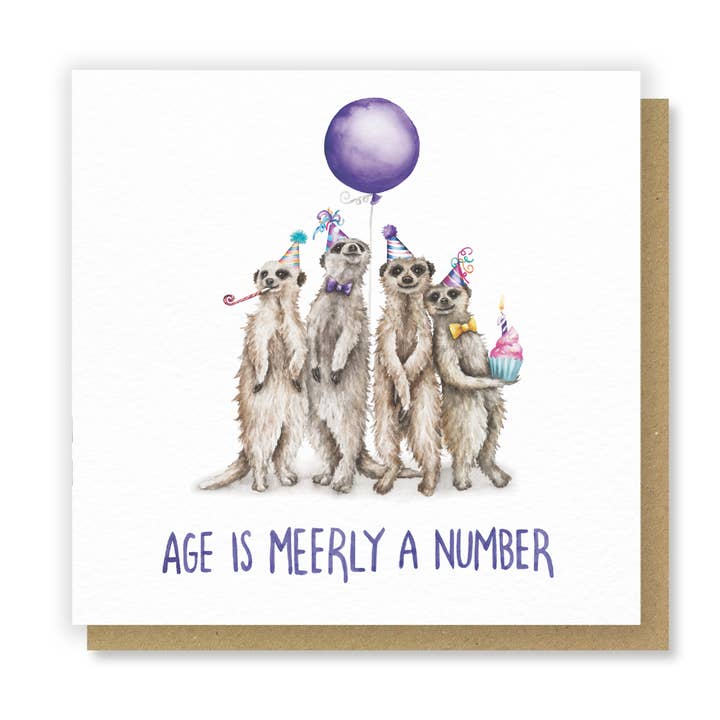 Meerly a Number