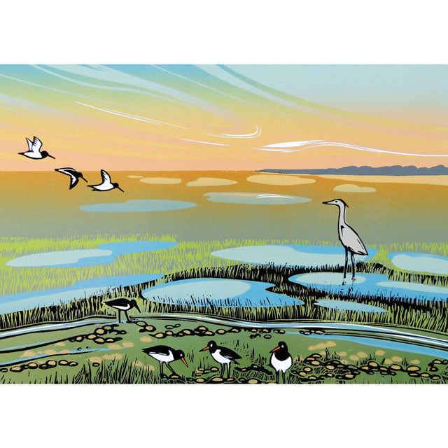 Saltmarsh Heron