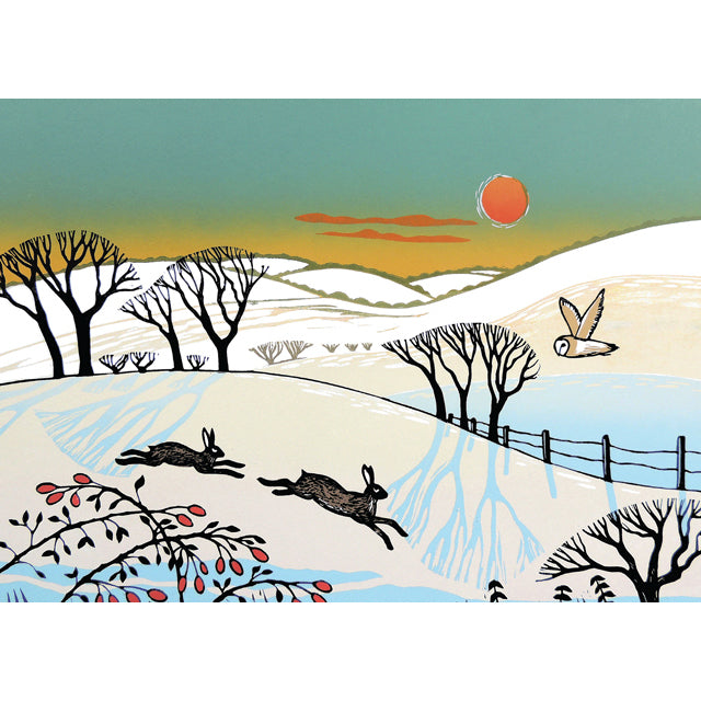 Hares In Winter Snow