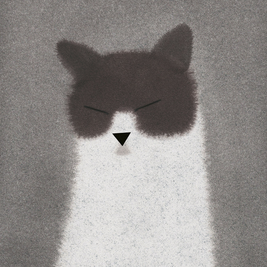 Cat 1 (Dialogue with a Cat)