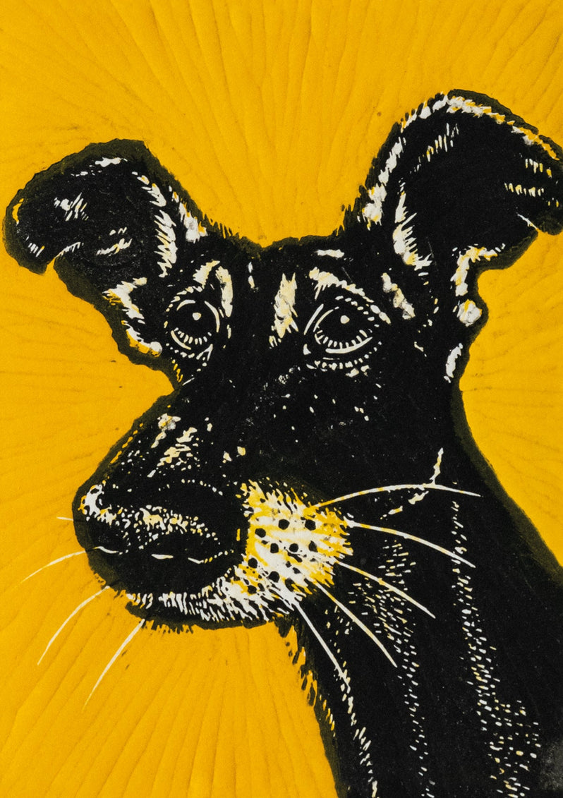 Little Yellow Dog