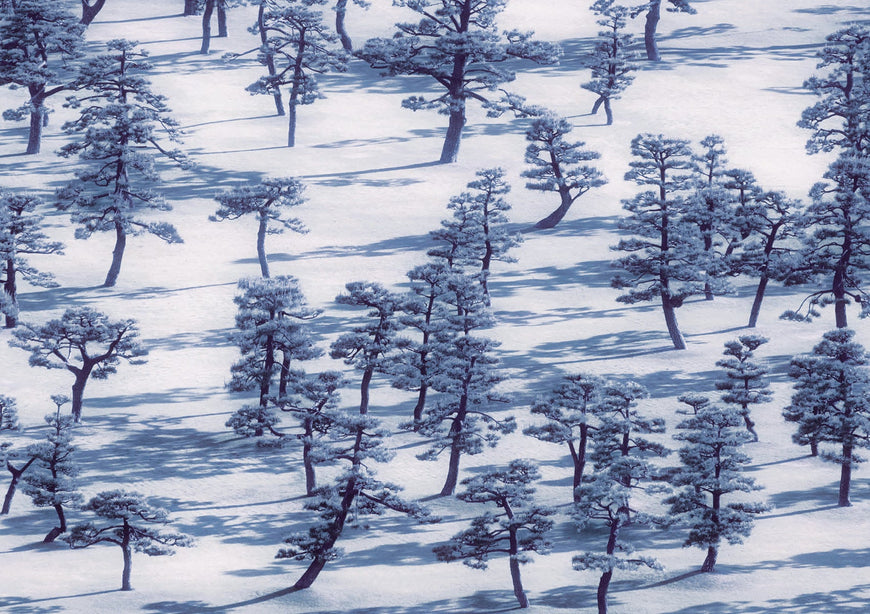 RA Christmas Box - Landscapes