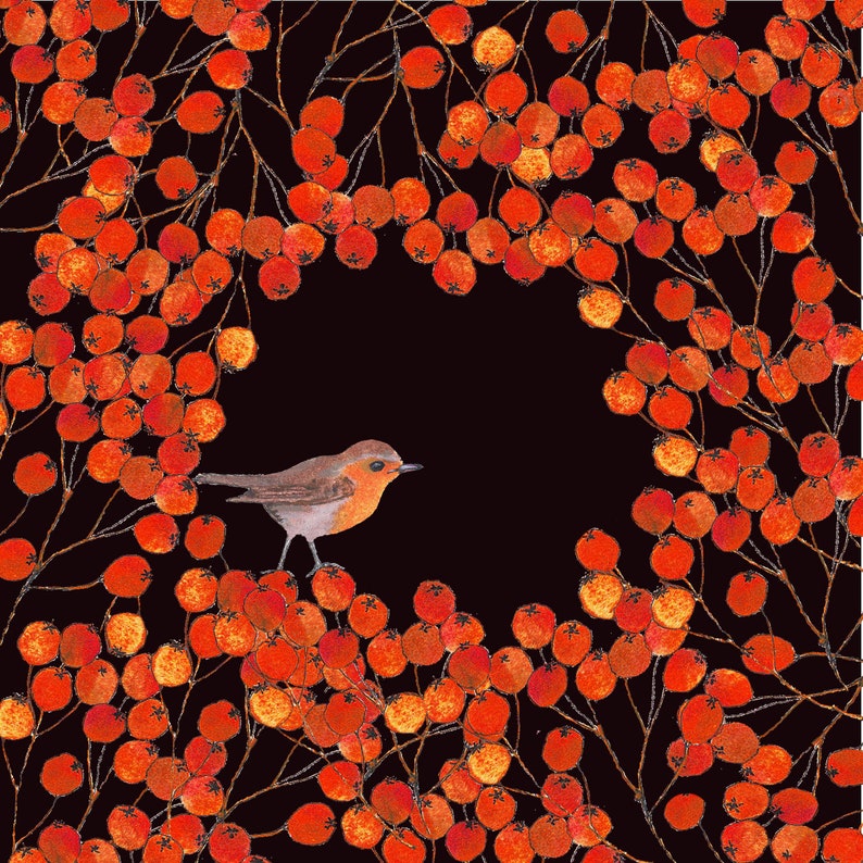 Robin in the Rowan Berries