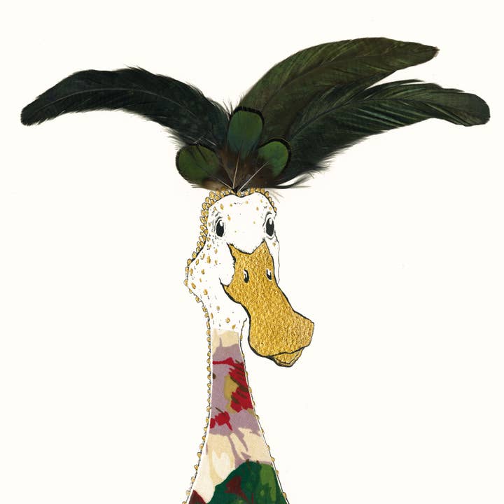 Duck Bird