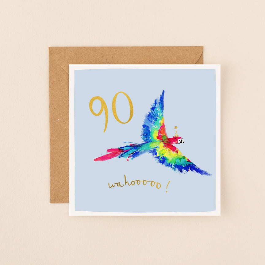 Macaw 90