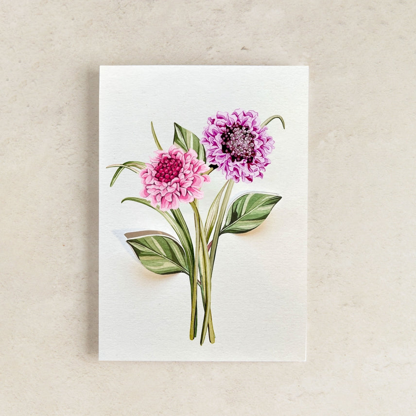 Scabius Floral Pop Out