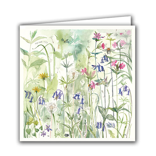 April Woods and Insects