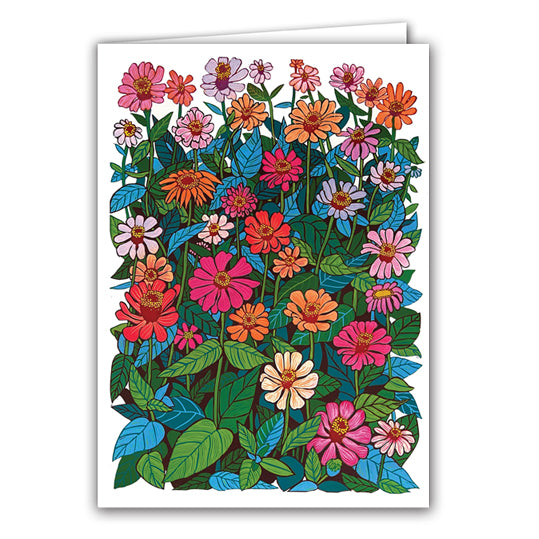 Zinnias
