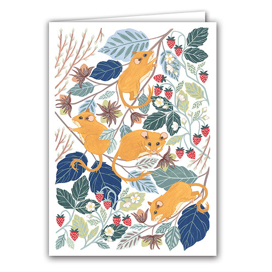 Hazel Dormice