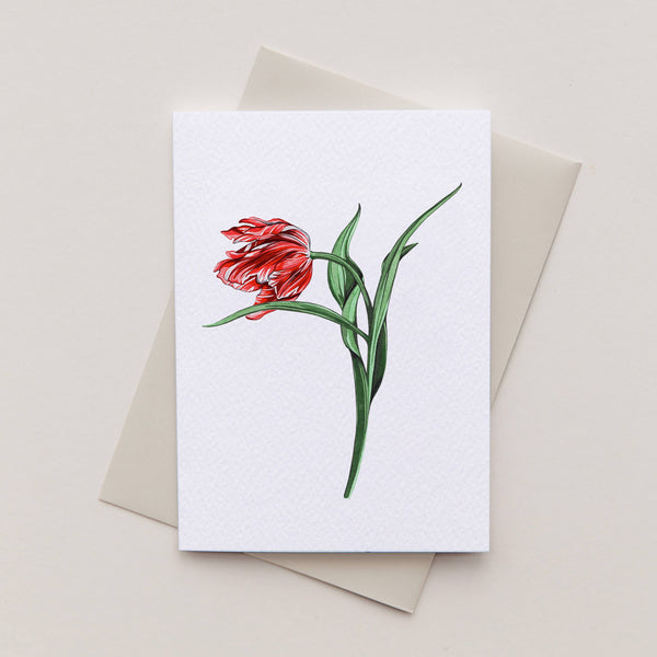 Mini Red Tulip