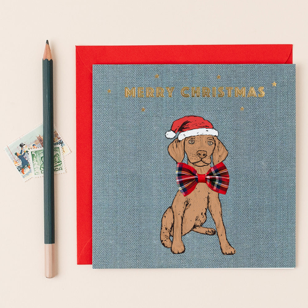 Vizsla Christmas