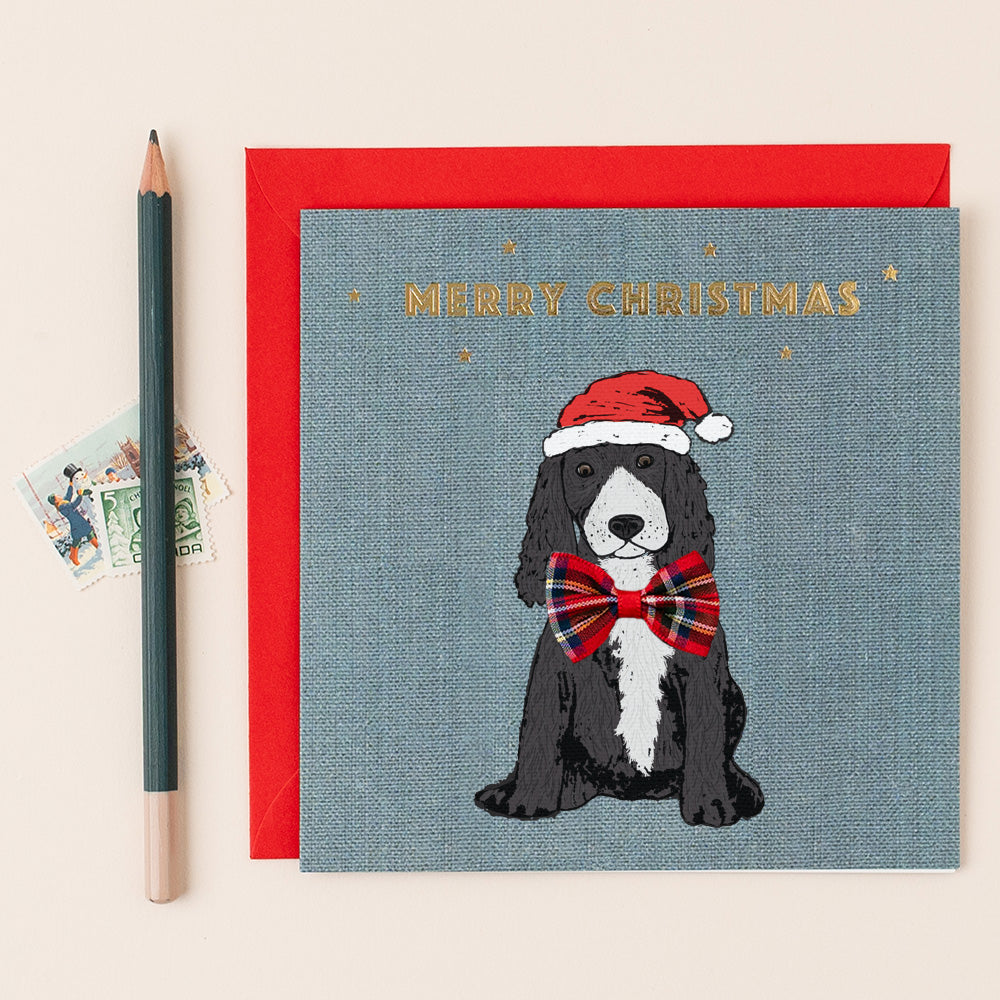 Black Spaniel Christmas