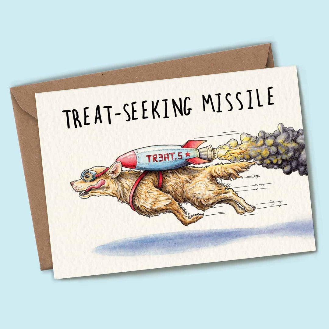 Treat Seeking Missile