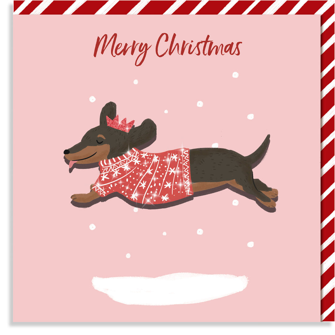 Merry Christmas' Dachshund