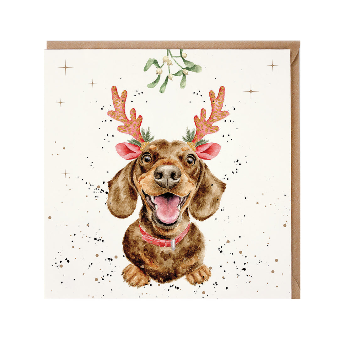 Mistletoe and Barks