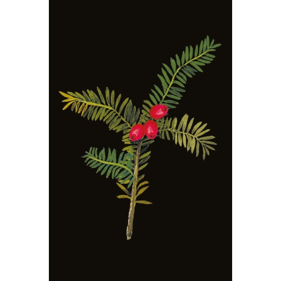 MARY DELANY WINTER FOLIAGE PACK OF 20