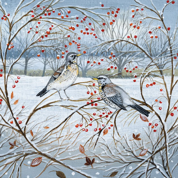 ANIMALS AND WINTER BERRIES