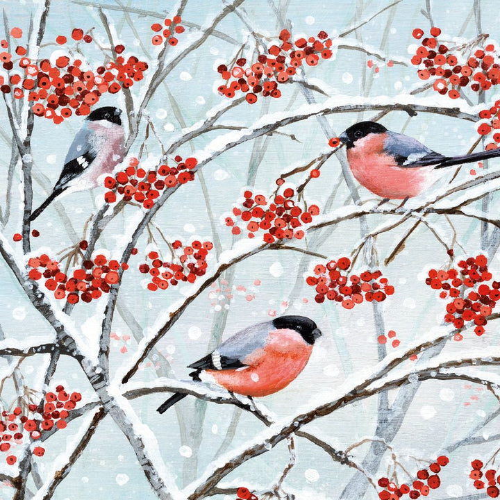 ANIMALS AND WINTER BERRIES