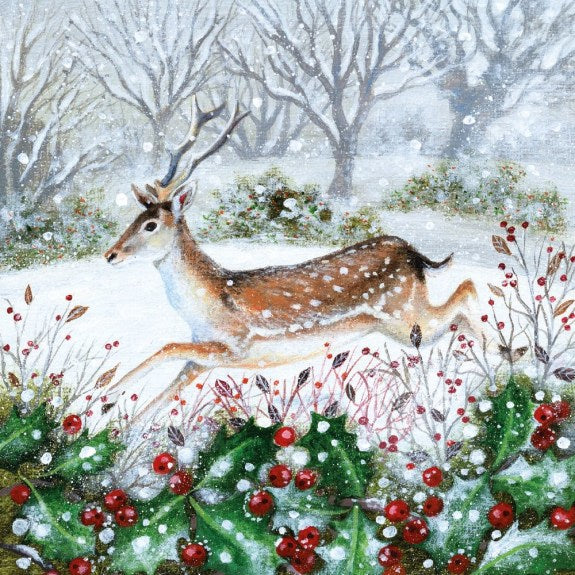SNOWY GARDEN