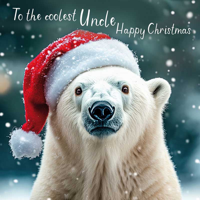 Happy Christmas To The Coolest Uncle