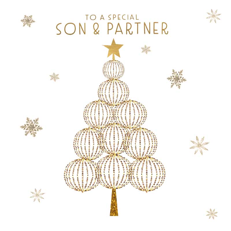 To A Special Son & Partner