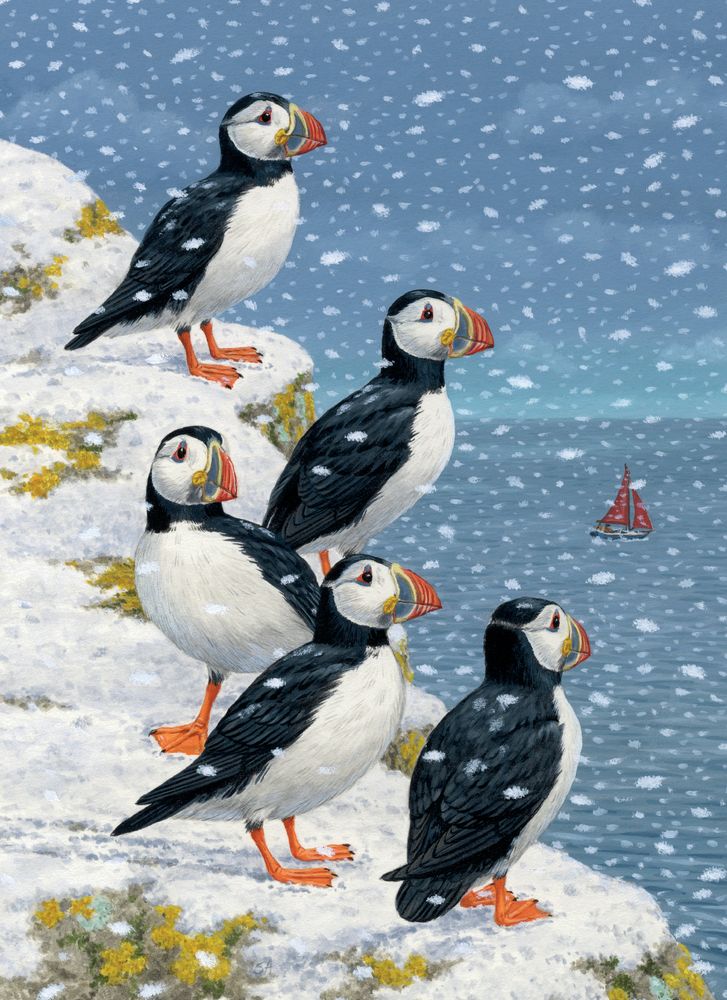 PUFFINS IN THE SNOW