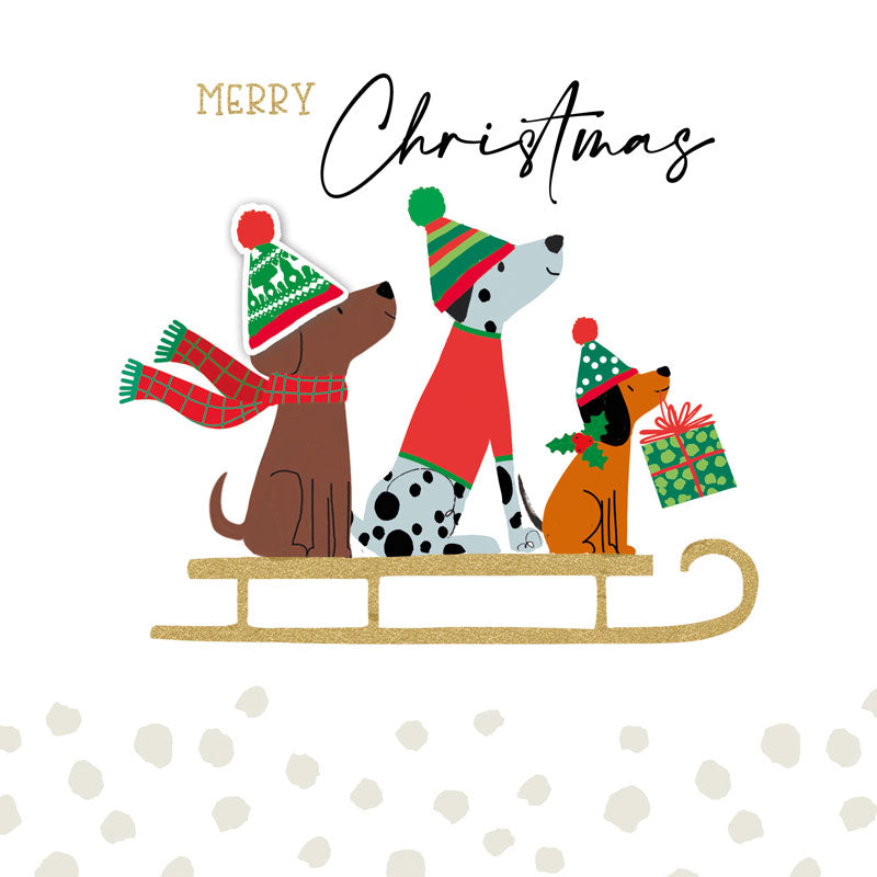 Merry Christmas