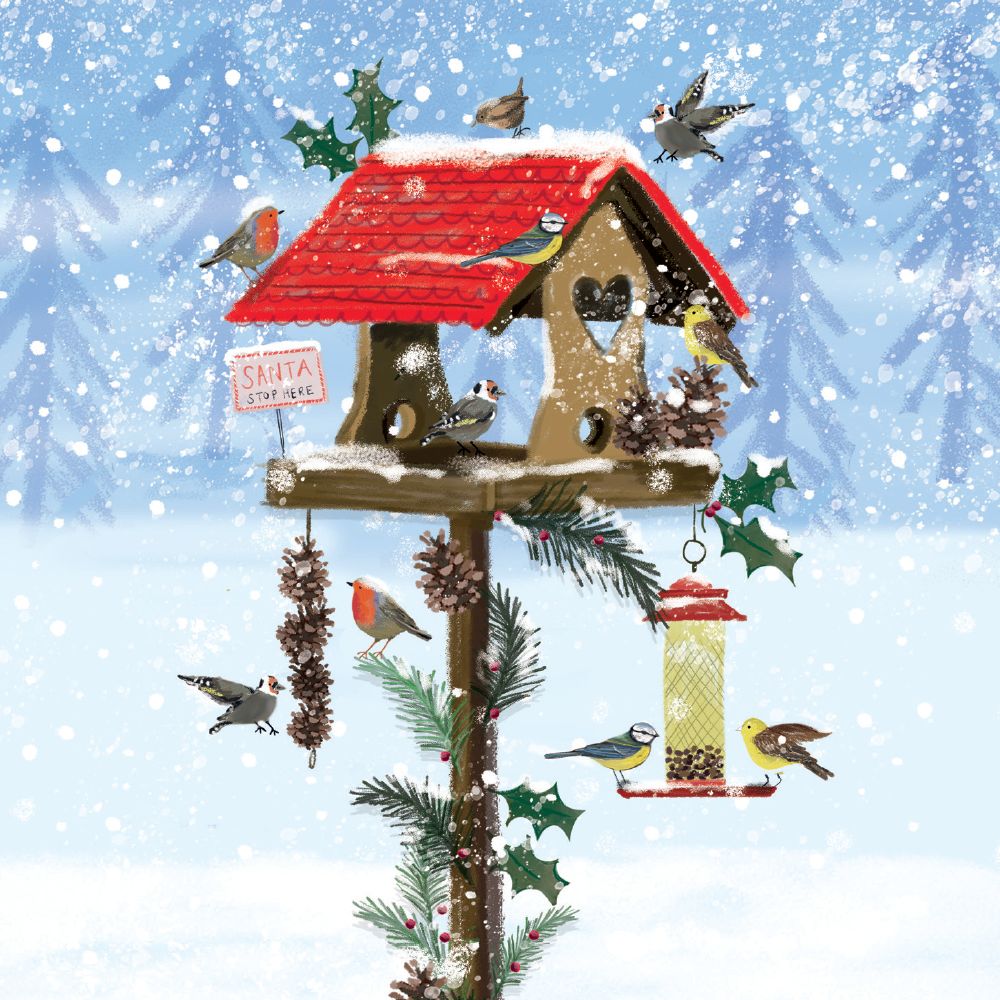 FESTIVE BIRD HOUSE