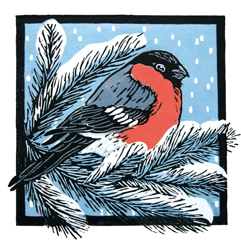 BULLFINCH ON SNOWY BOUGHS