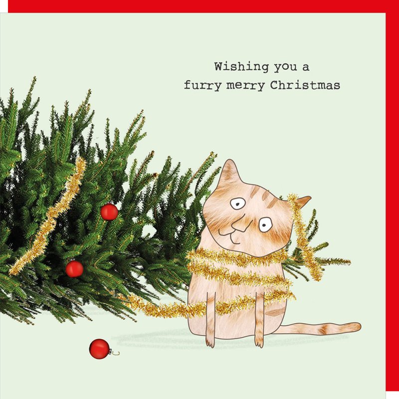 CAT FURRY