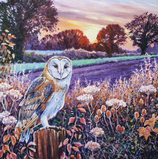Barn Owl At Dawn