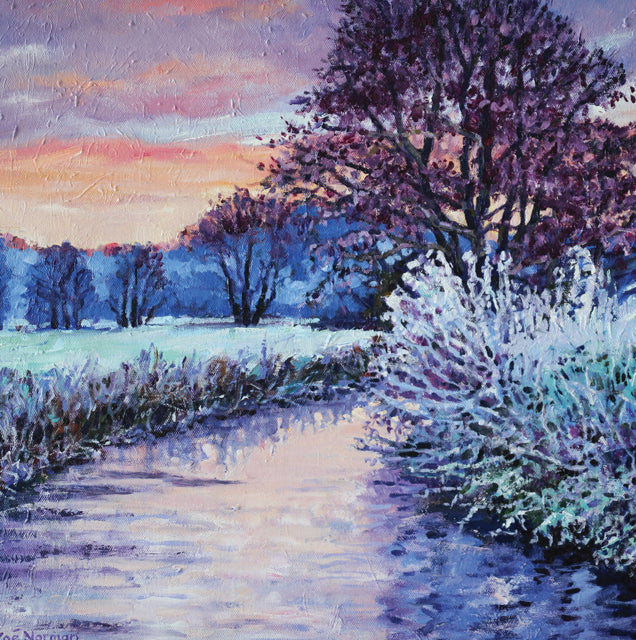 Apricot Dawn