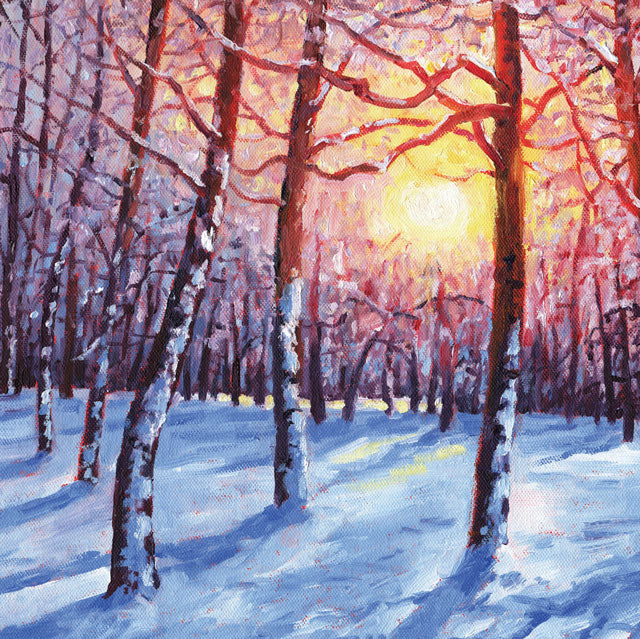 Winter Birch Trees