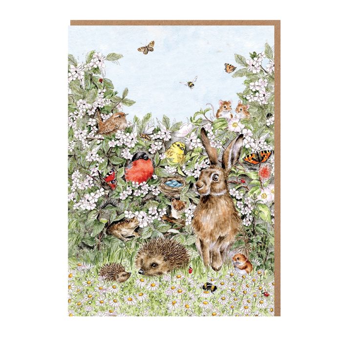 Nature Notecard Pack Hidden in the Hedgerow