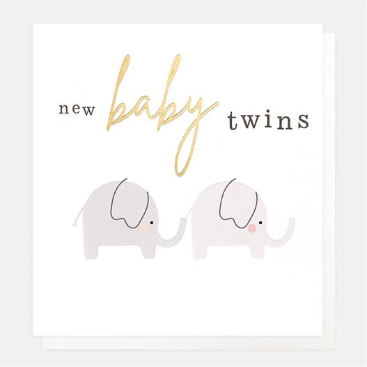 New Baby Twins