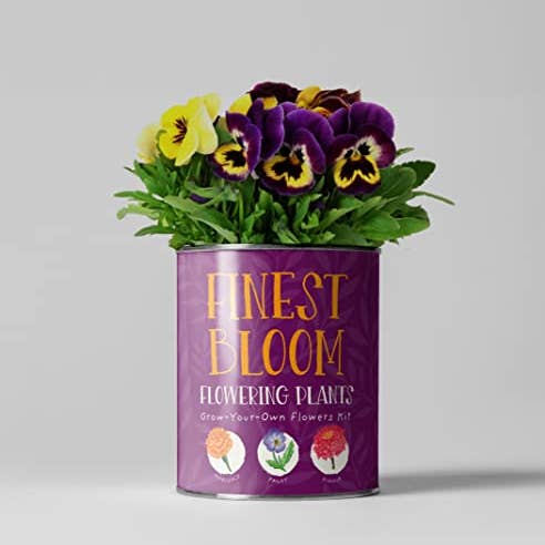 Finest Blooms Eco Grow Your Own Flowers Gardening Kit