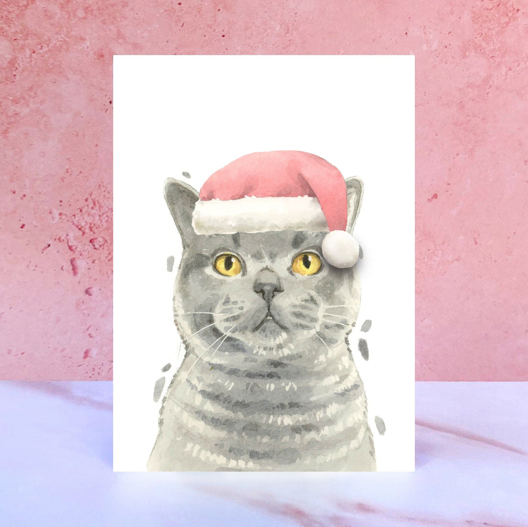 British Blue Shorthair Pompom Santa