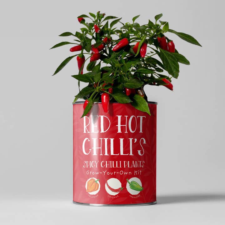 Red Hot Chilli's. Eco Grow Your Chilli Plant