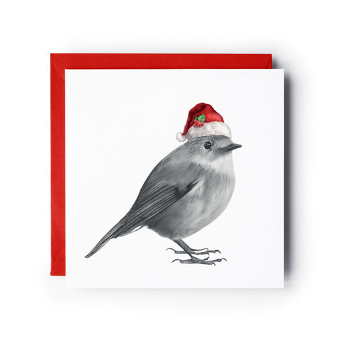 Atlas the Robin Festive Red Hat