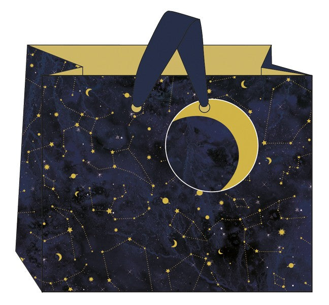 Moon and Stars Landscape Bag