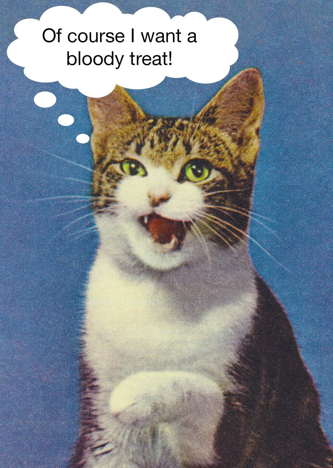 CAT TREAT