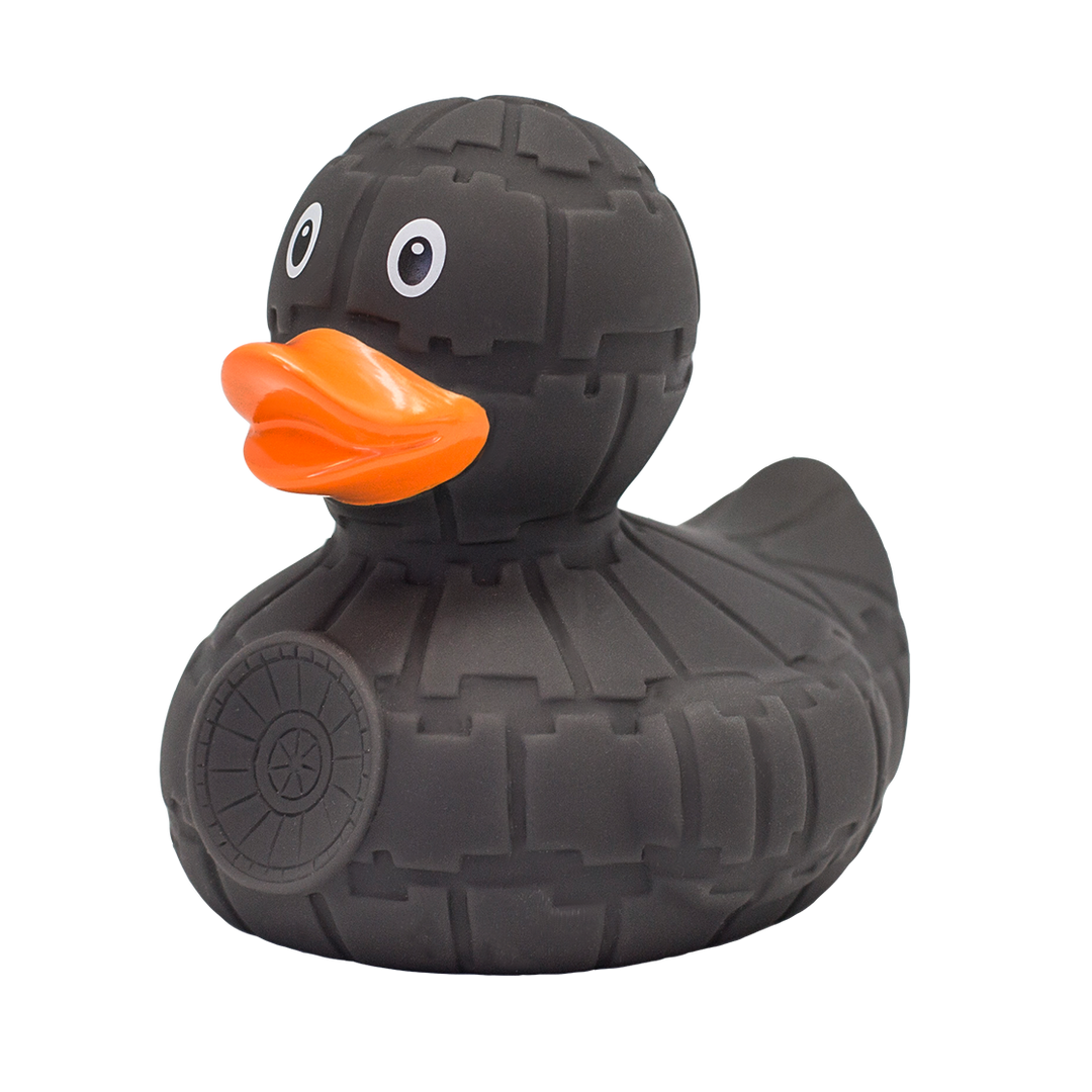 Grey Star Duck