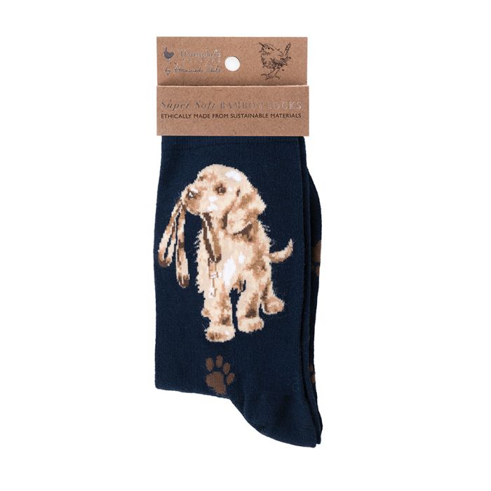 Hopeful Labrador Socks