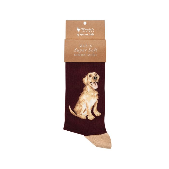 Golden Labrador Good as Gold Mens Socks