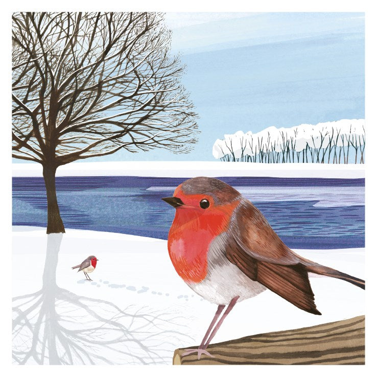 ROBINS IN SNOW Pack of 6