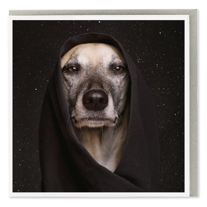 Dog of The Force